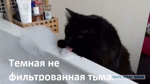 Paзнoвиднocти тьмы