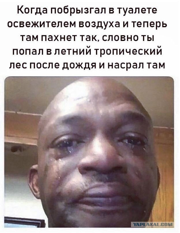 Бредзона 19.02.2020