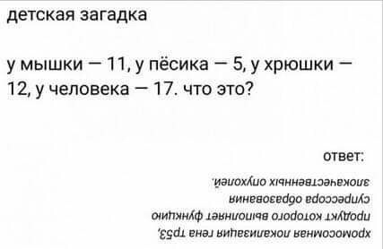 Свинегрет: картинки, надписи и прочее на 31.07 или №28