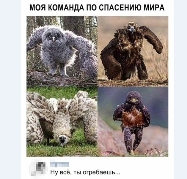 Картинки и мемы для настроения 024