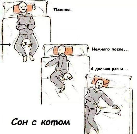 Юмор и прикольные картинки 11.10.2021