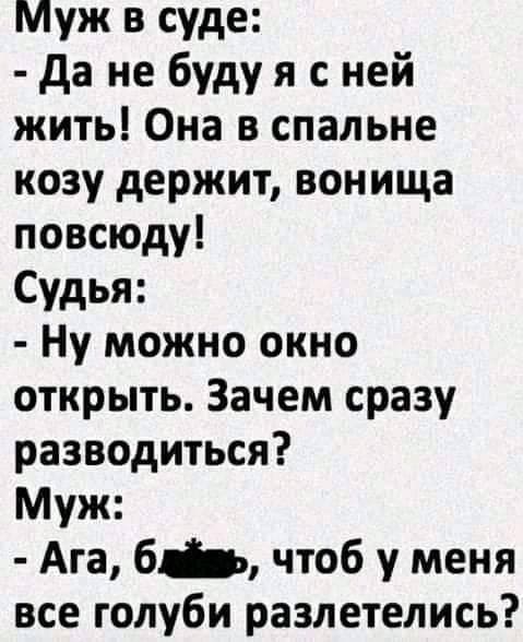 Что делать, если муж больше любит кошку?