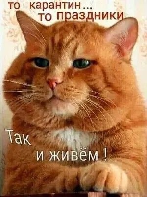 Так себе картинки 04.09.22