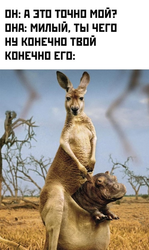Немного картинок для настроения - 127