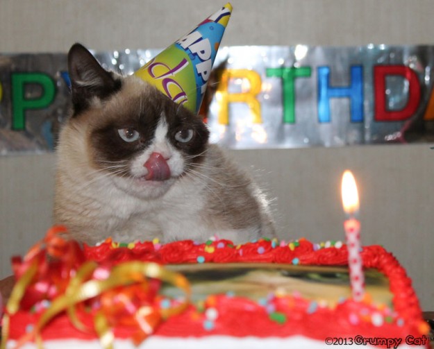 День рождения у Grumpy Cat