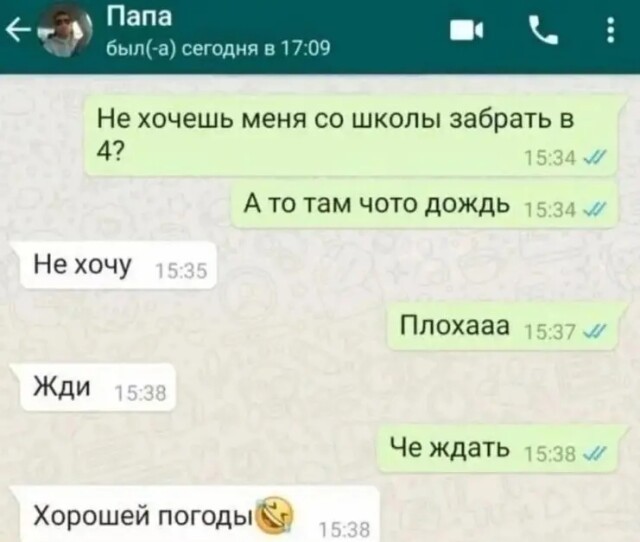 Забавные комментарии из социальных сетей 06.11.23