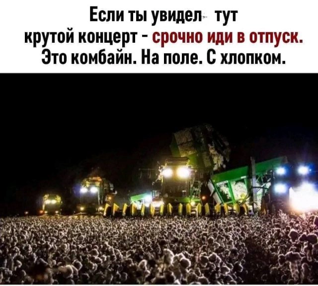 Весёлый полтишок 06.02.24