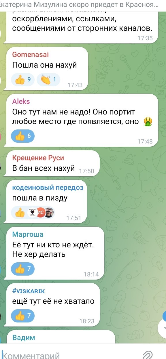 Мизулина запретила красноярцам хейтить ее
