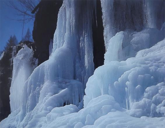 Товарищ Ким Чен Ын