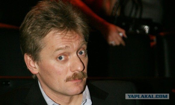 Девушка ищет достойную работу (4 фото)