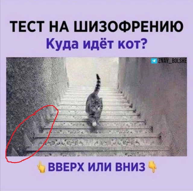 Так себе картинки 19.10.24
