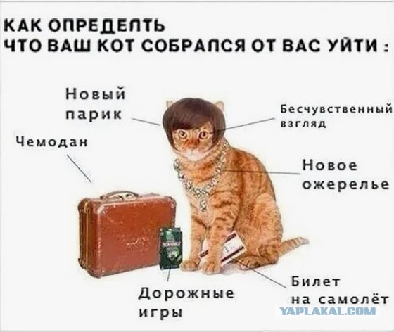 Всё, ухожу от вас, прощайте!