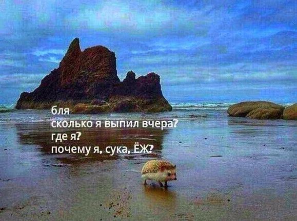 Поехал на велике прокатиться