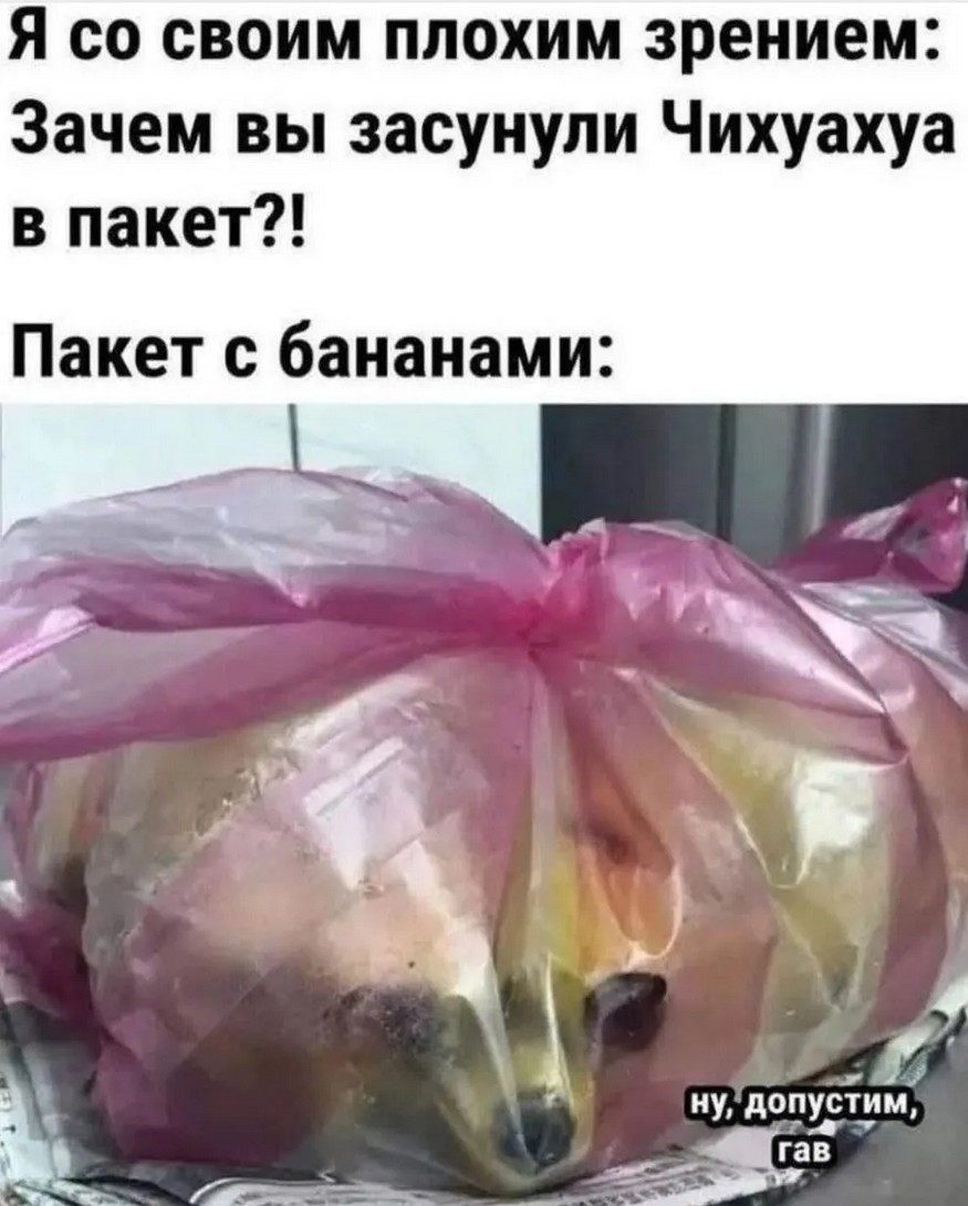 20182996.jpg