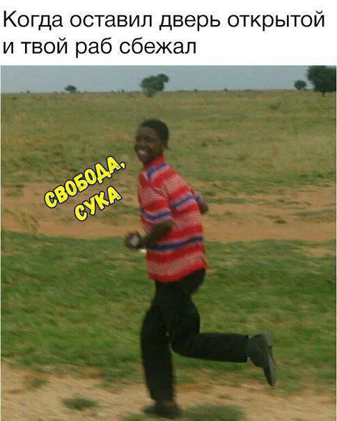 Картинки для деградации 105 (разной степени свежести)
