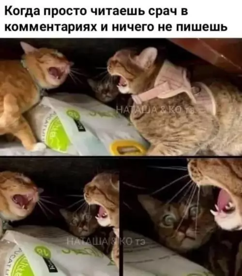 Картиночки, баянчики 11 марта