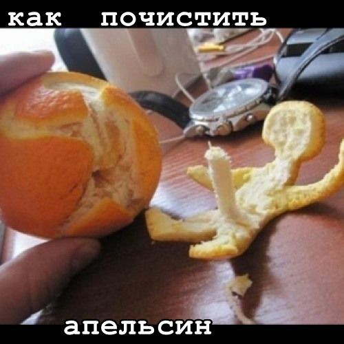 Забавные и не очень скромные картинки - 33