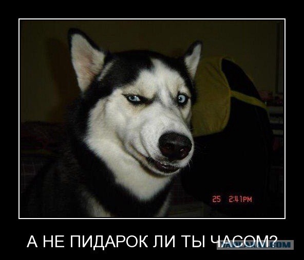 Кинофобные глюки