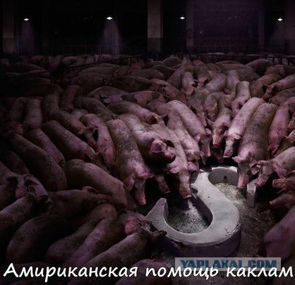 Как сейчас живет Львов
