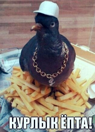 Толерантность по верхнюю рисочку