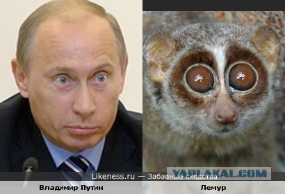 Путин, который смотрит на разные вещи по-разному..