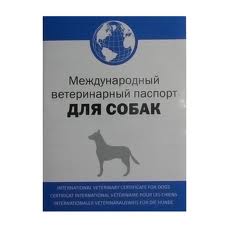 Голубоглазое счастье
