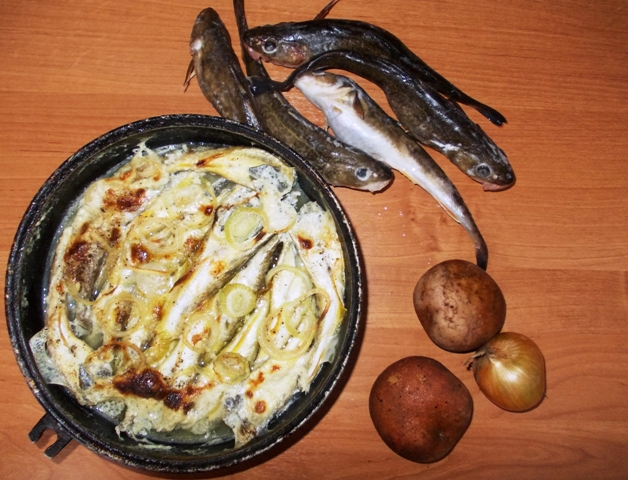 Белозерский Рыбник