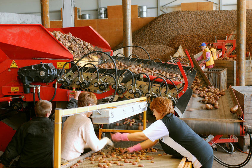 хранение и переработка сельскохозяйственной продукции. оборудование для производства замороженных ягод. переработка сельскохозяйственной продукции. заготовка сельхозпродукции. технолог переработки сельскохозяйственной продукции.