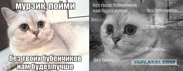 "Хватит терпеть!"