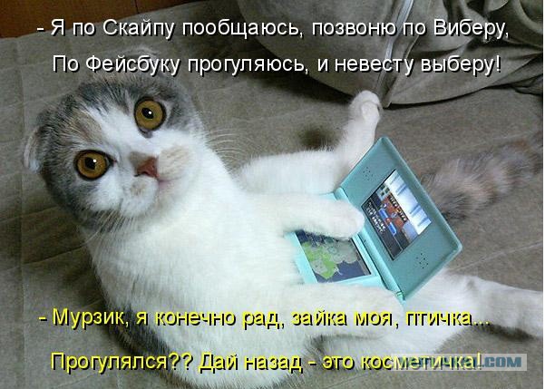 Котики - 3