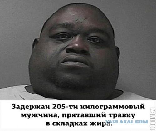 Веселые картинки