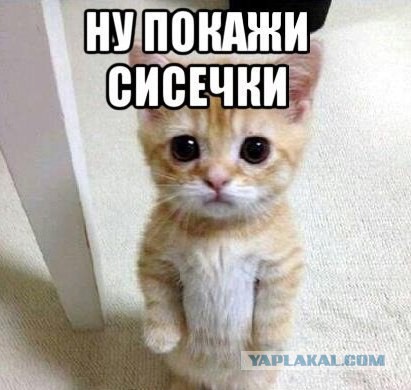 Покажите.сиськи Покажите.сиськи