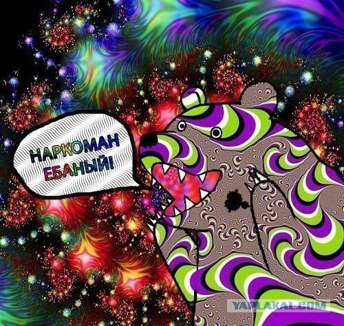 Они живые. Они смотрят на нас!