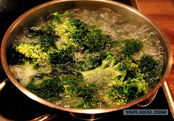 Психокулинария. День открытых дверей.