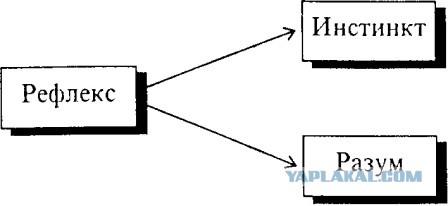 Телефон с электрошокером
