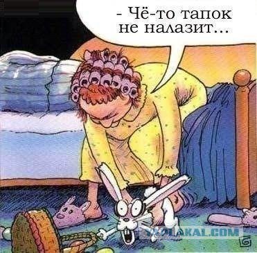 Порция картинок из сети