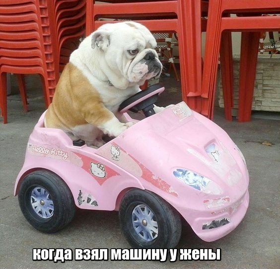 Картинки с текстом на автомобильную и околоавтомобильную тематику