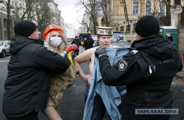 Подборка интересных и веселых картинок