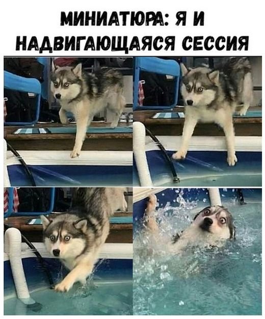 Прикольные картинки обо всём