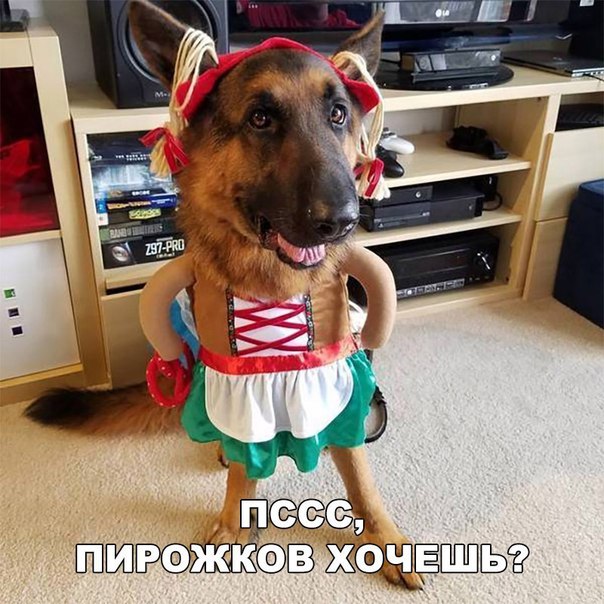 Прикольные картинки