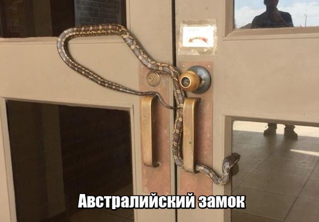 Прикольные картинки абавсём