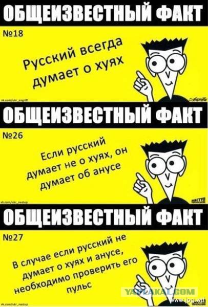 15 принципов жизни японцев, которые помогают им оставаться счастливыми