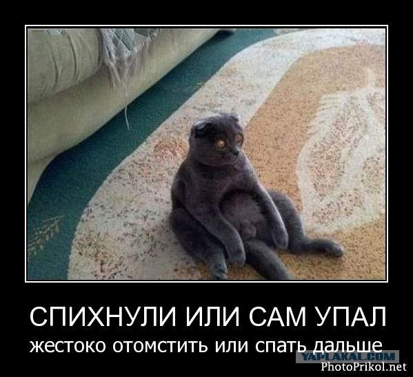 Древние мемы с ВК. Для тех кто забыл