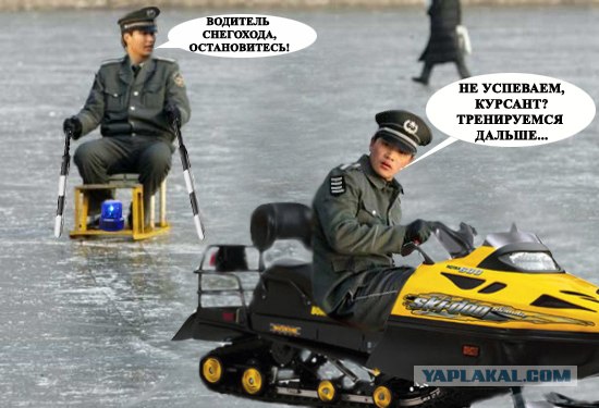 Битва фотожаберов (Команда №2)