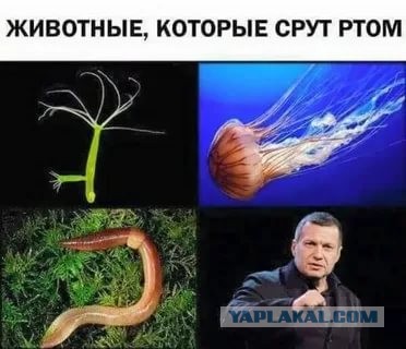 "Плачущая Василиса" (смотреть до конца)