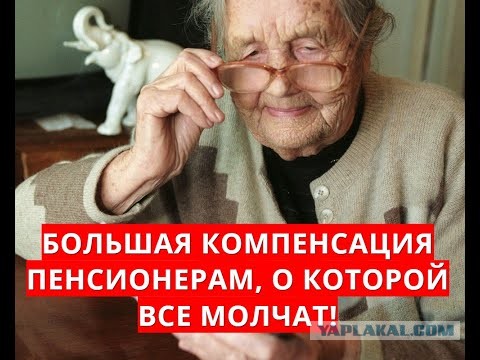 15 животных, которых можно встретить и покормить в разных странах мира, совсем как привычных нам голубей