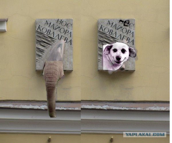 Нос Майора Ковалева