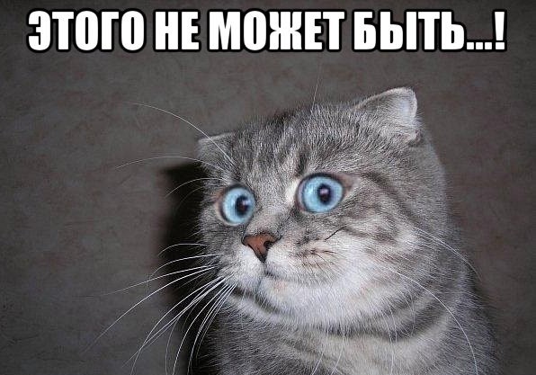 Почти 70% населения России не участвовали в переписи