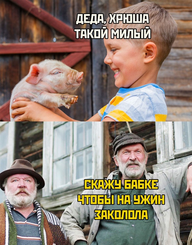 Весёлый полтишок 06.04.22