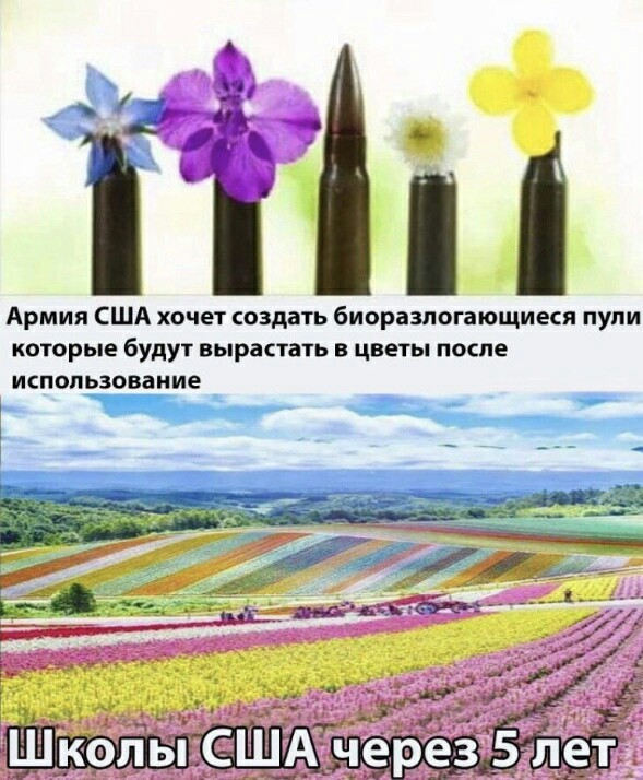Картинки 04.07.22